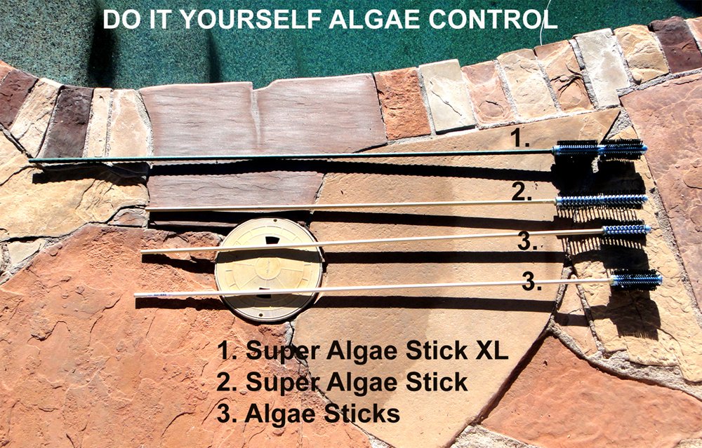 Algae Sticks